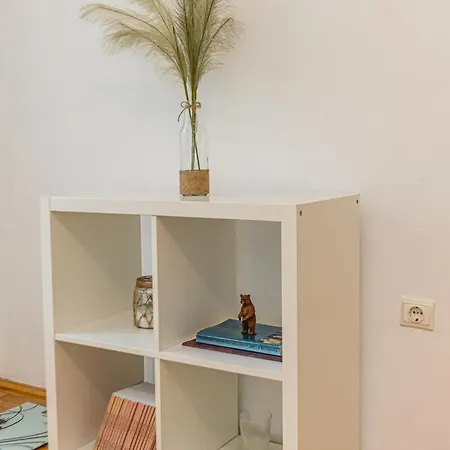 Cu Gradina La Casa Alemar Brasov