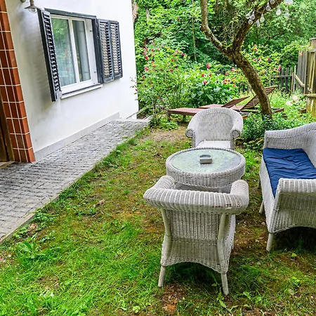 Serene Garden With Parking Braşov