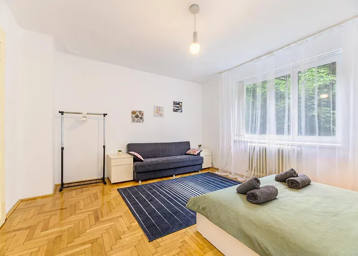 Serene Garden With Parking Braşov