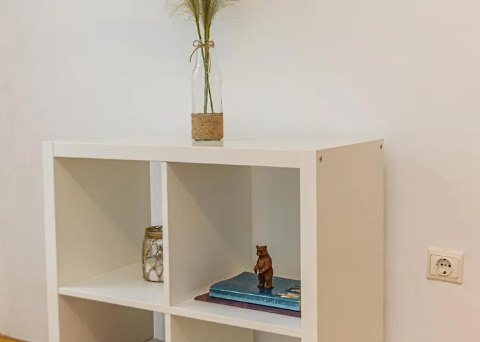 Serene Garden With Parking Braşov