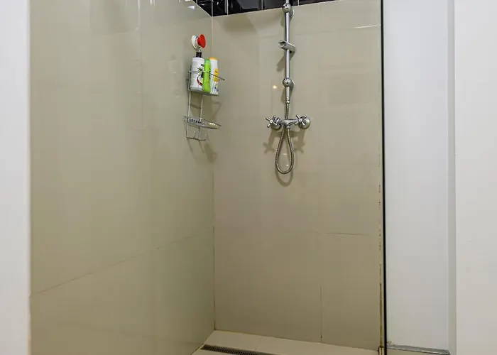 Serene Garden With Parking Brasov